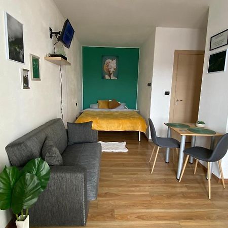 Green Studio Τιμισοάρα Εξωτερικό φωτογραφία