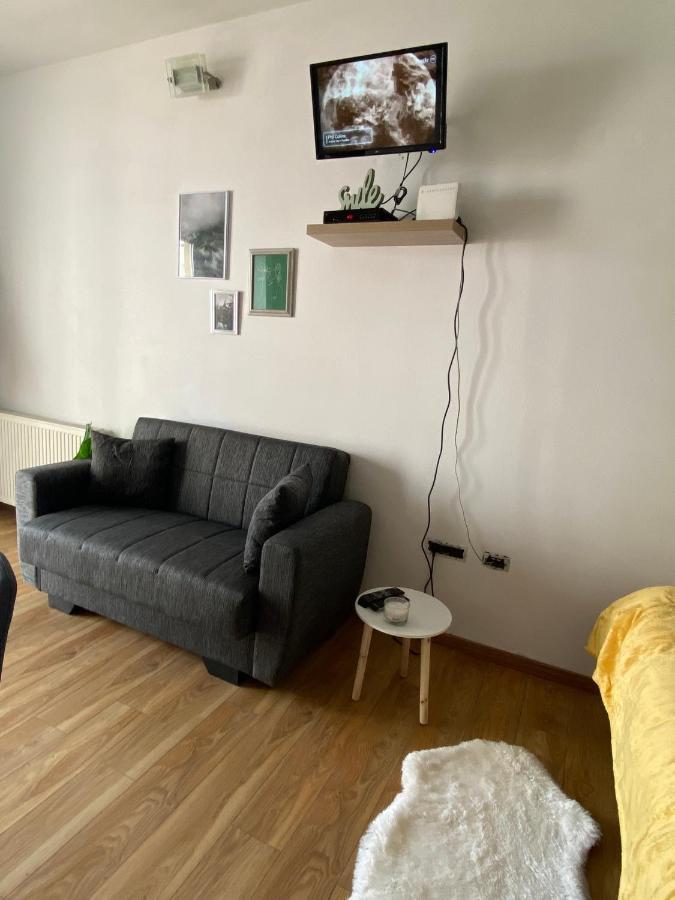 Green Studio Τιμισοάρα Εξωτερικό φωτογραφία