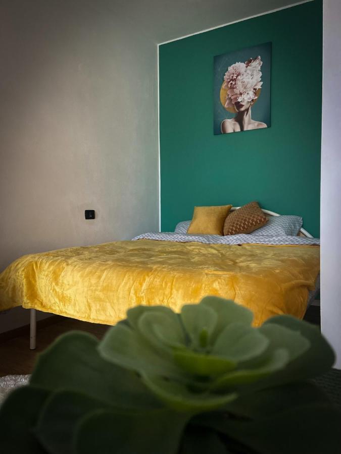 Green Studio Τιμισοάρα Εξωτερικό φωτογραφία